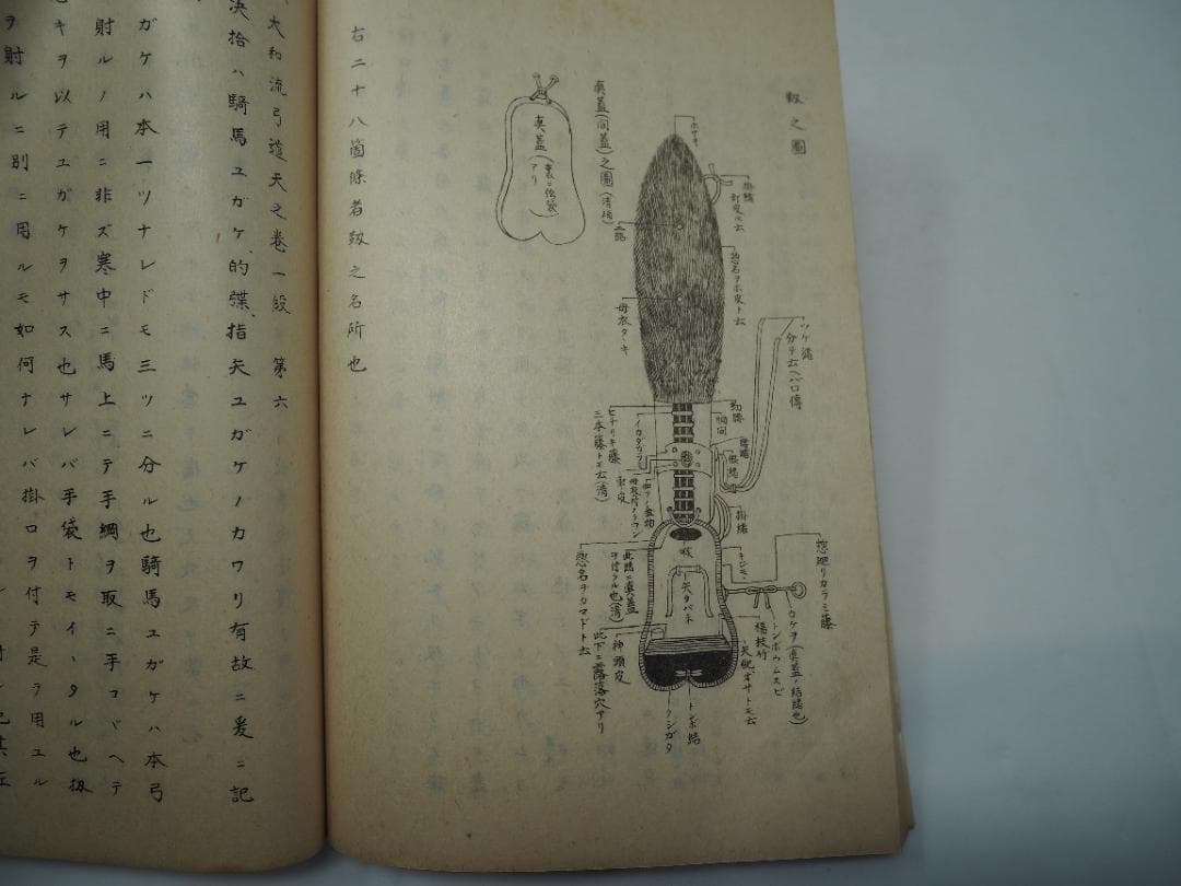 和本　大和流弓道伝書　免許之部一二三四五巻セット　大正15年（1926）　村河清