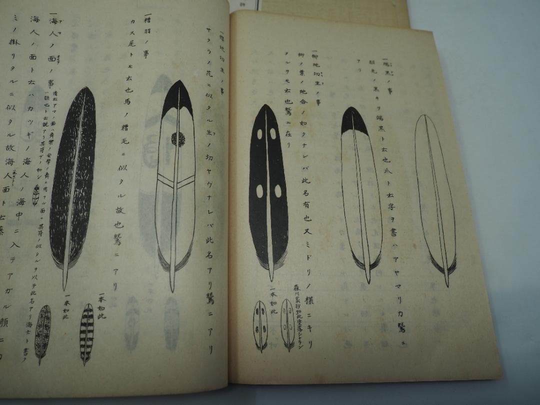 和本　大和流弓道伝書　免許之部一二三四五巻セット　大正15年（1926）　村河清