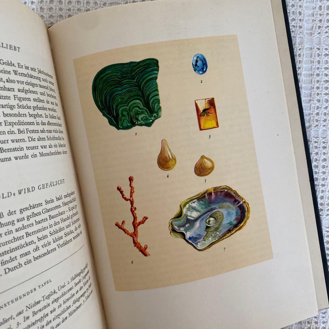 1954年　真っ黒な表紙が魅力的　ドイツの鉱物図鑑　宝石　洋書