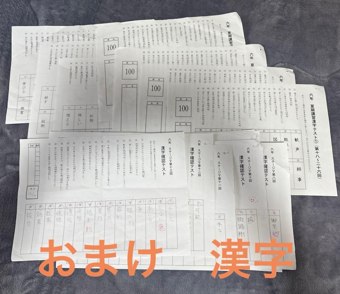 日能研テスト2025年度(現6年)公開模試 育成 夏期春期講習フルセットおまけ付