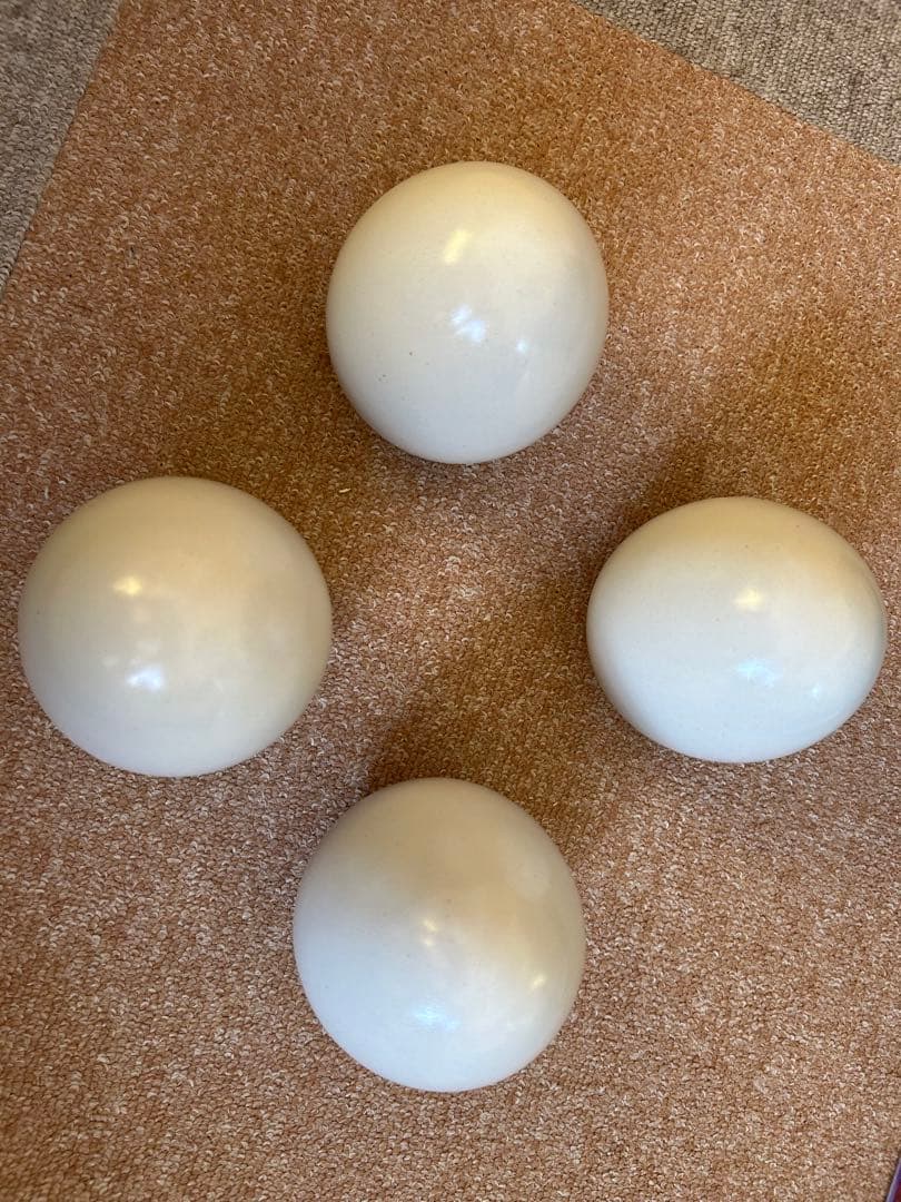 すこやかポット（大）