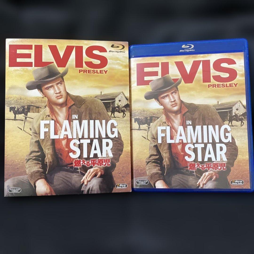 燃える平原児('60米)