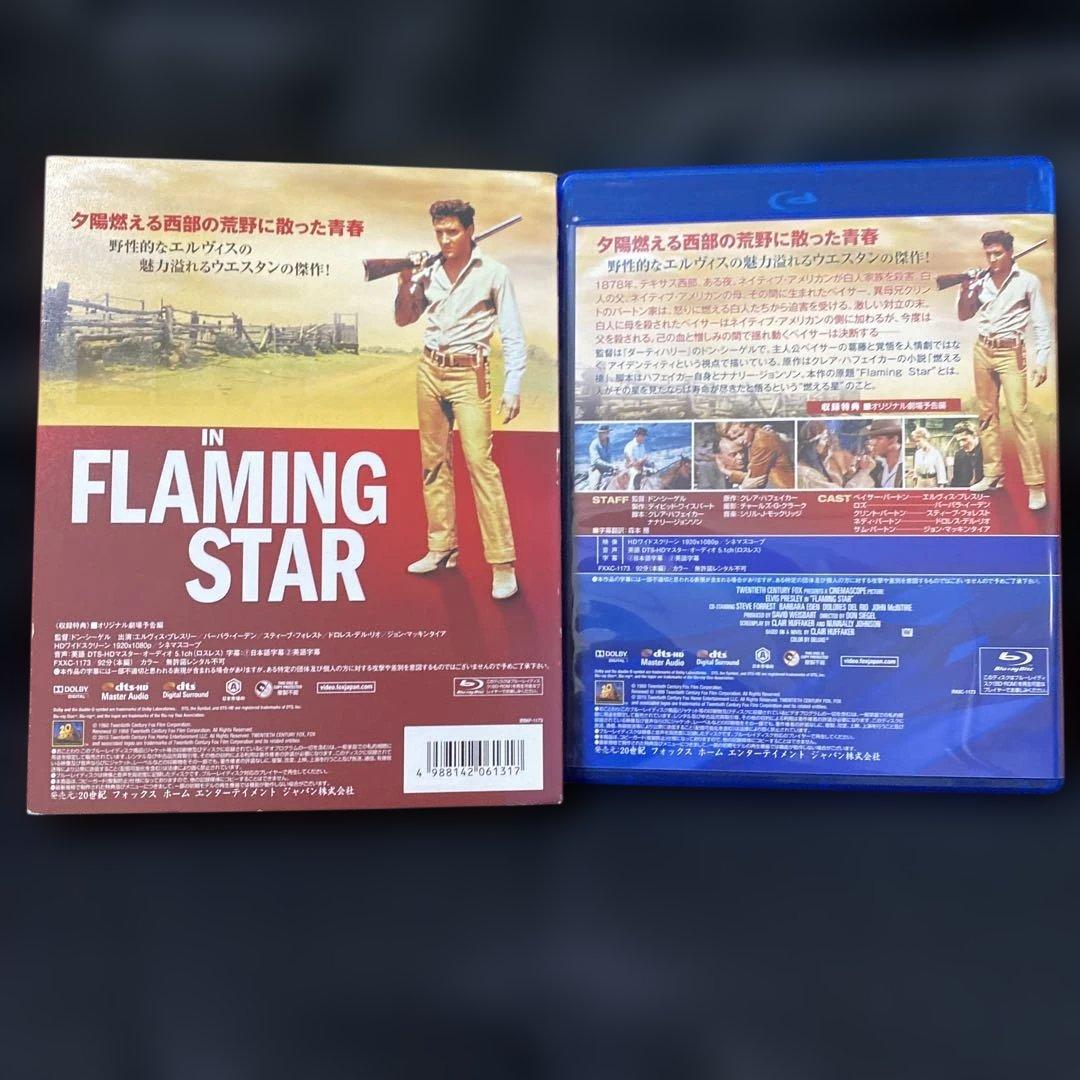 燃える平原児('60米)