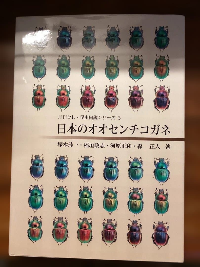 日本のオオセンチコガネ