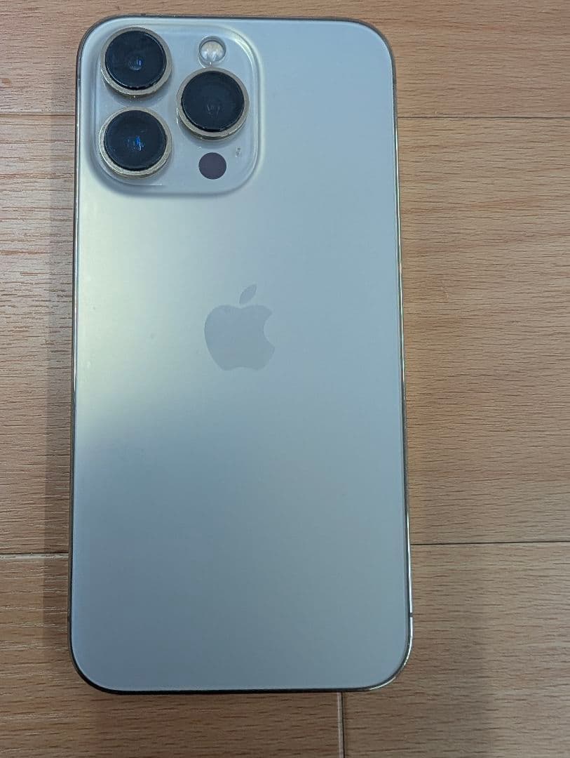 Apple iPhone 13 Pro 256GB ジャンク