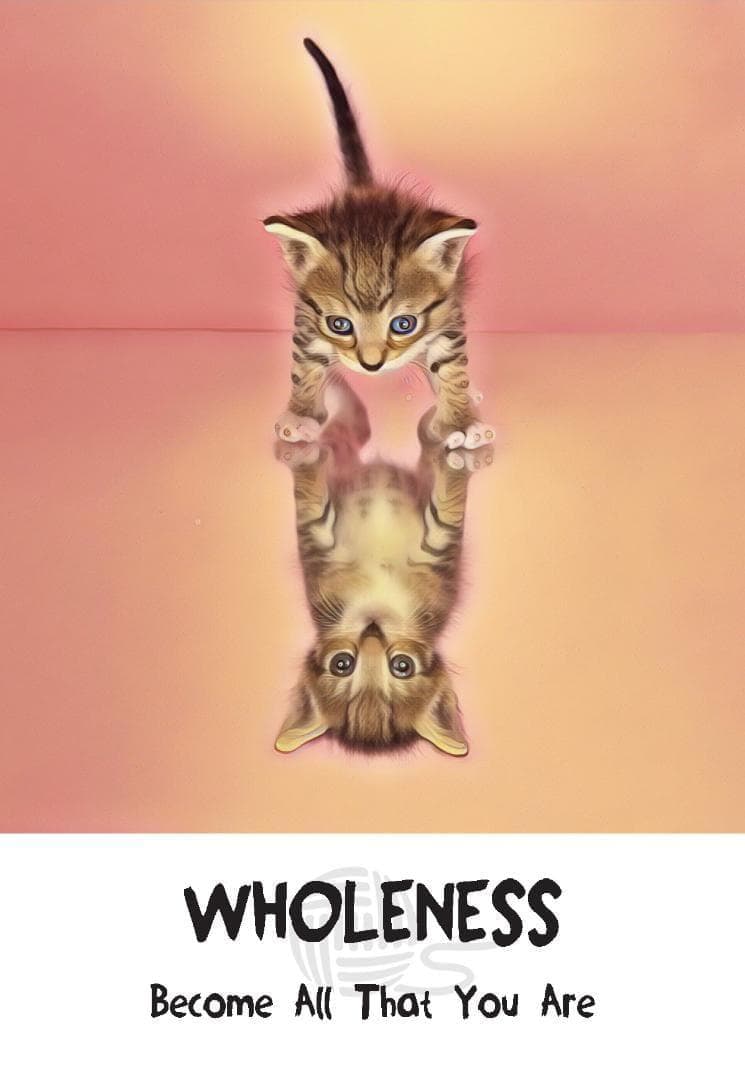 【正規品オラクルカード】新装版✨キュート＆癒し✨可愛い猫たちの知恵のカード