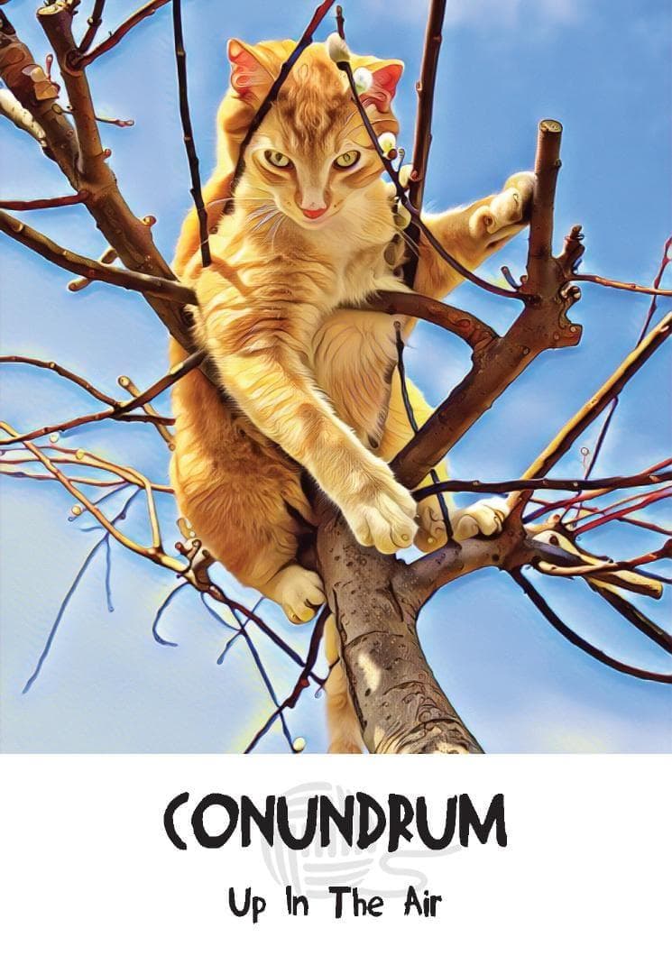 【正規品オラクルカード】新装版✨キュート＆癒し✨可愛い猫たちの知恵のカード