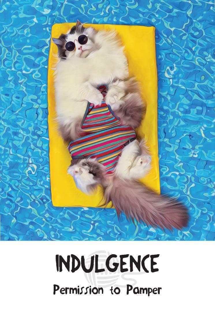 【正規品オラクルカード】新装版✨キュート＆癒し✨可愛い猫たちの知恵のカード