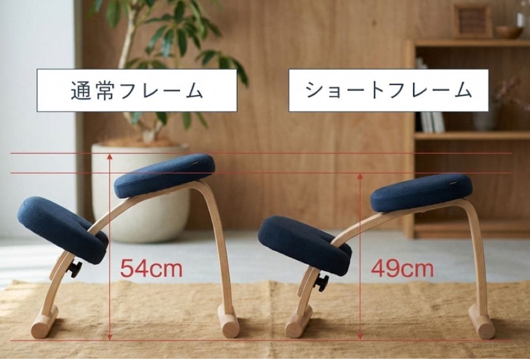 Balans Easy バランスイージー　ショートフレームバージョン