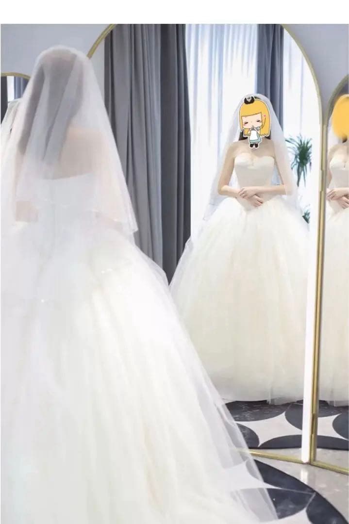 an様 ヴェラウォン風バレリーナウェディングドレスサッシュベルト ヘア飾りピアス