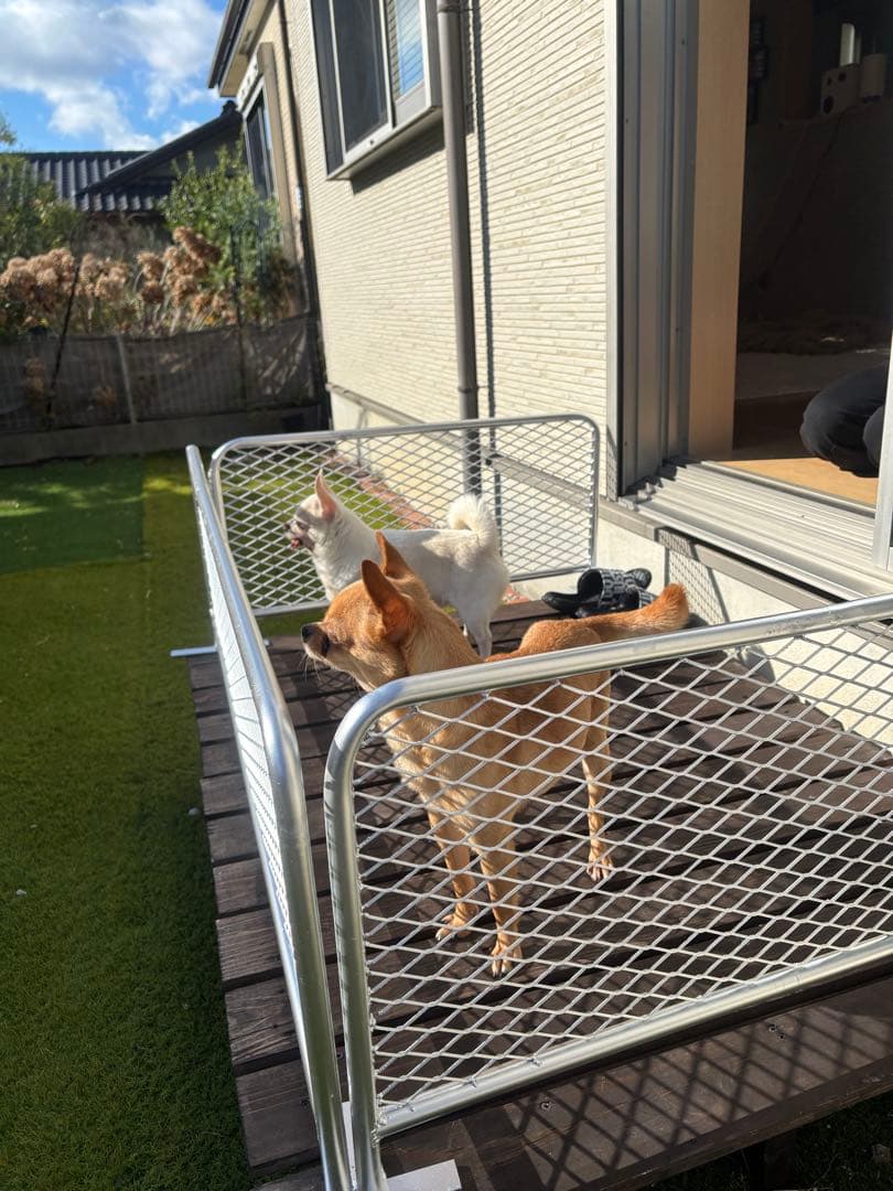 自立式アメリカンフェンス風　ドッグバリケード　バリケード　脱走対策