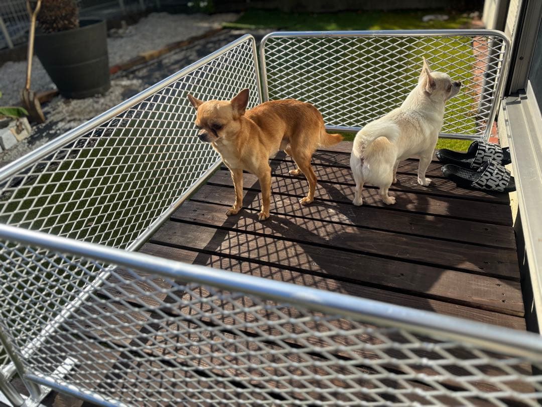 自立式アメリカンフェンス風　ドッグバリケード　バリケード　脱走対策