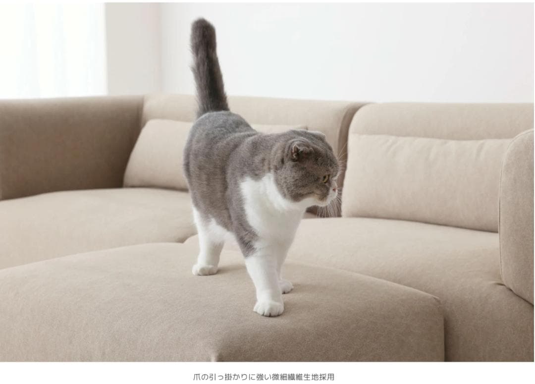 103 VENTOTA　オットマン付き 2人掛け ソファ Colce（コルチェ）