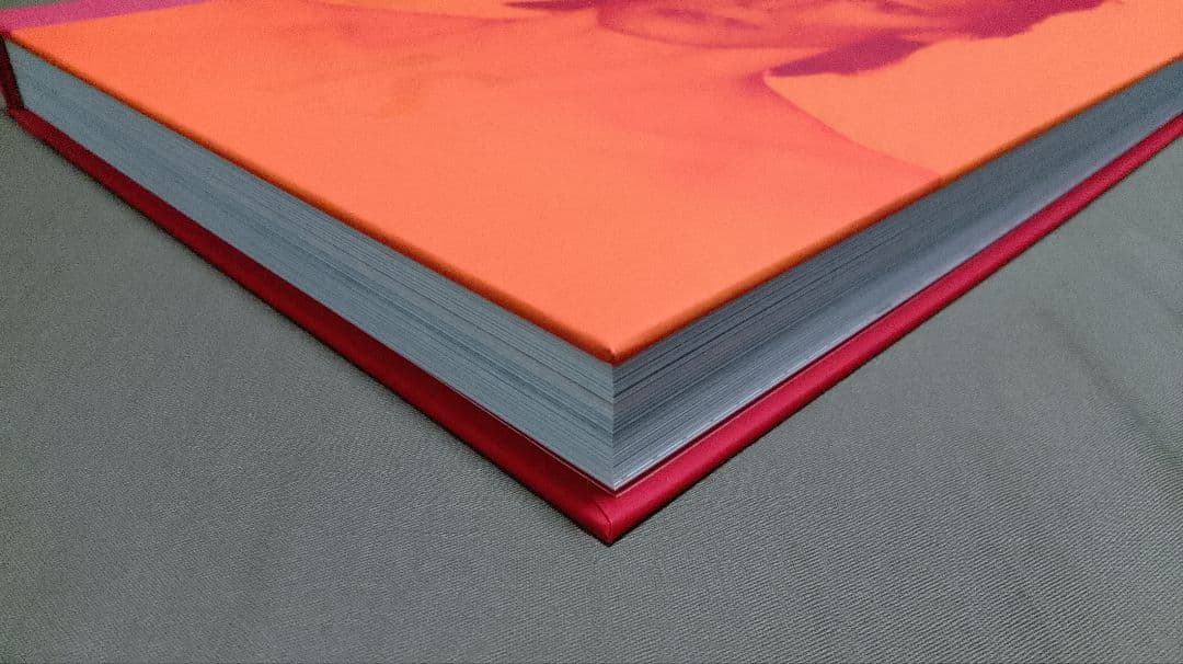 デヴィッド・ボウイ・イズ 復刻版　日本語翻訳版｜David Bowie Is…