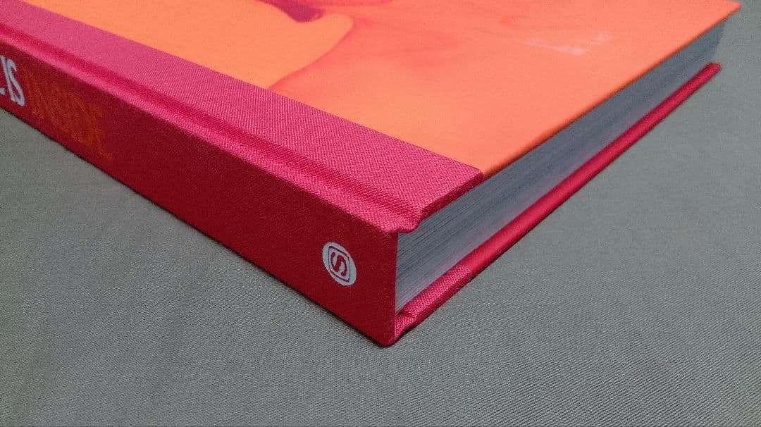 デヴィッド・ボウイ・イズ 復刻版　日本語翻訳版｜David Bowie Is…