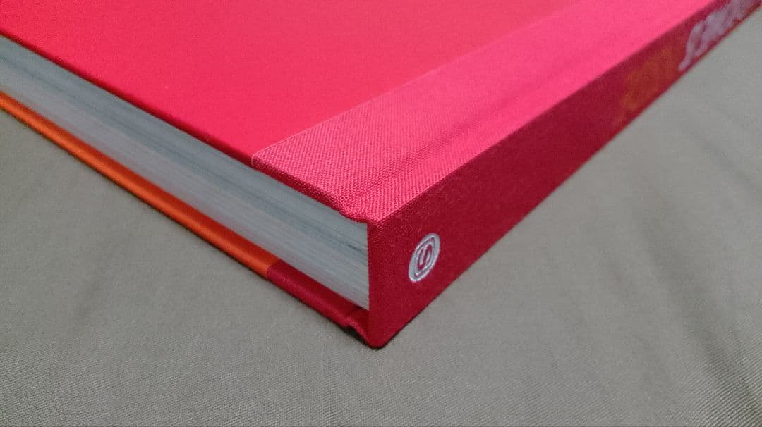 デヴィッド・ボウイ・イズ 復刻版　日本語翻訳版｜David Bowie Is…