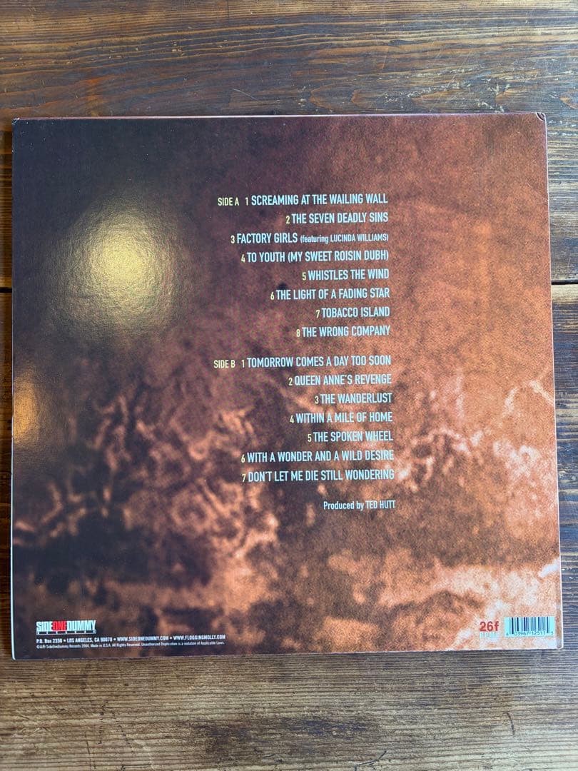 【希少/USオリジナル】Flogging Molly LP original