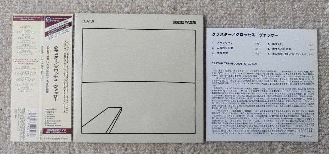 洋楽 Cluster Grosses Wasser CD