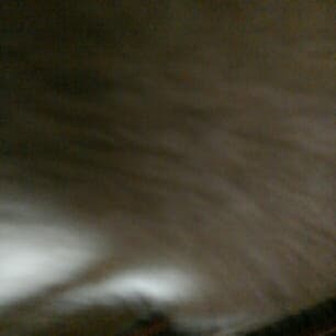 テゴマスの青春/テゴマス