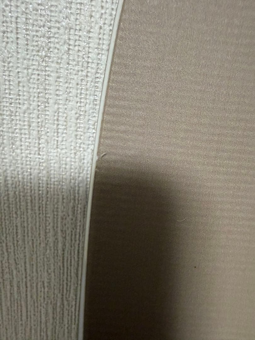 FNTC TNTR 153ベージュリフト1本のみの滑走