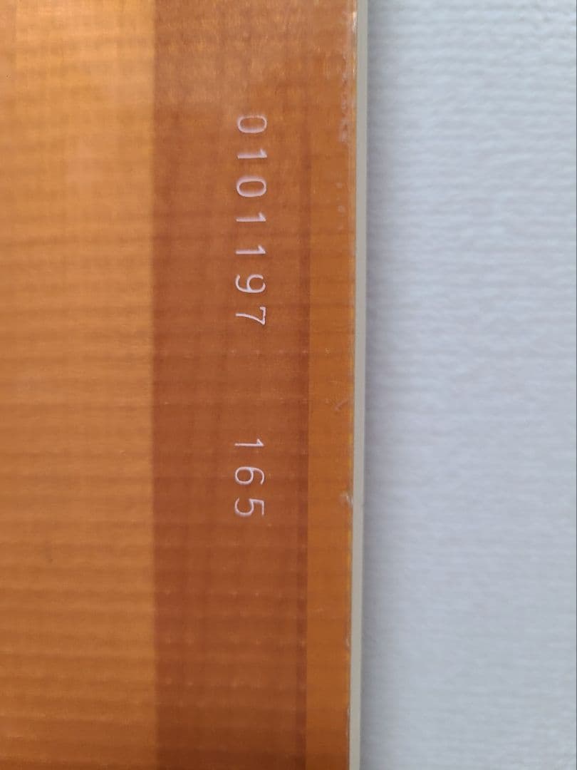 gentemstick ゲンテンスティック TT165