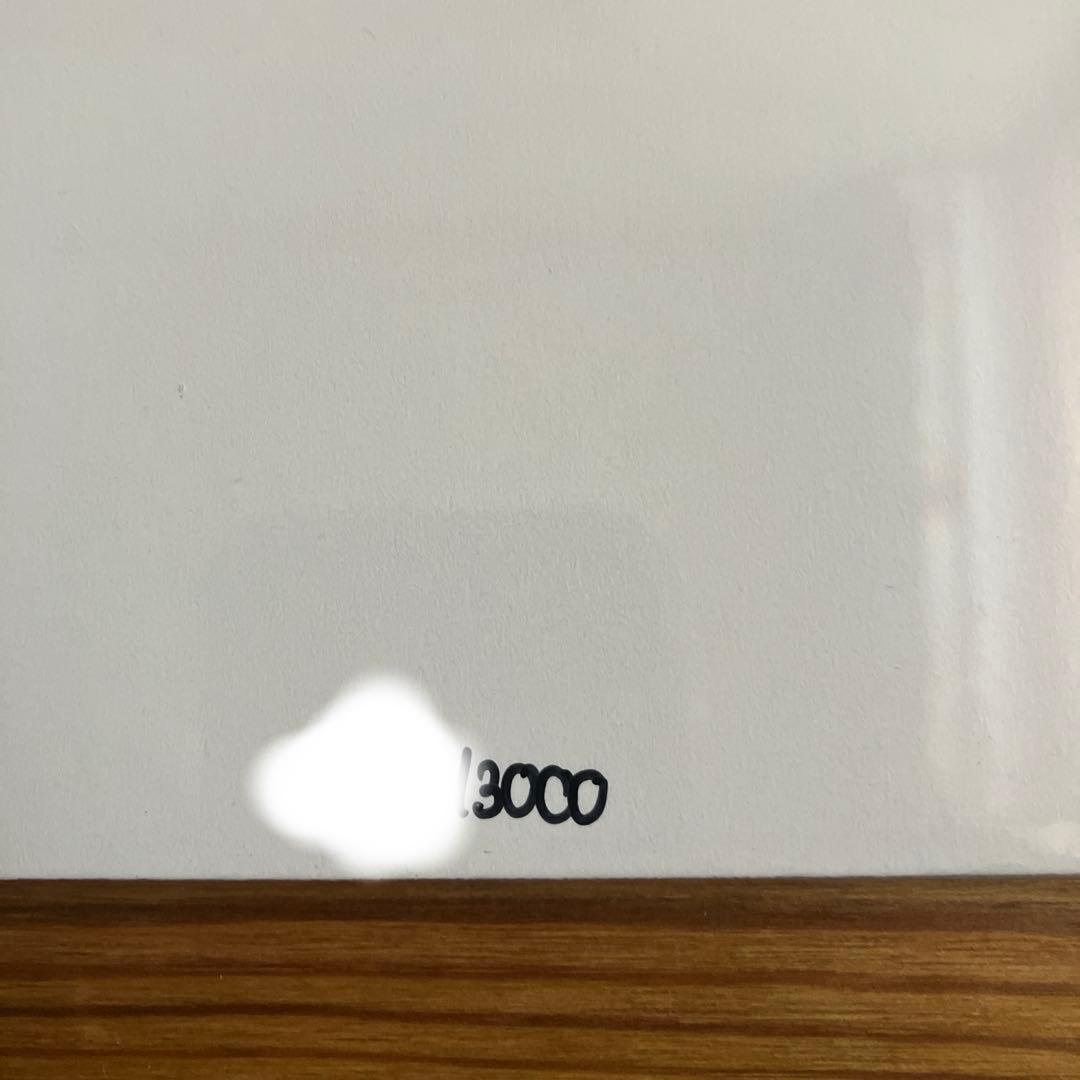 Vulfpeck Vulfmon DEG 3000枚限定アルバム