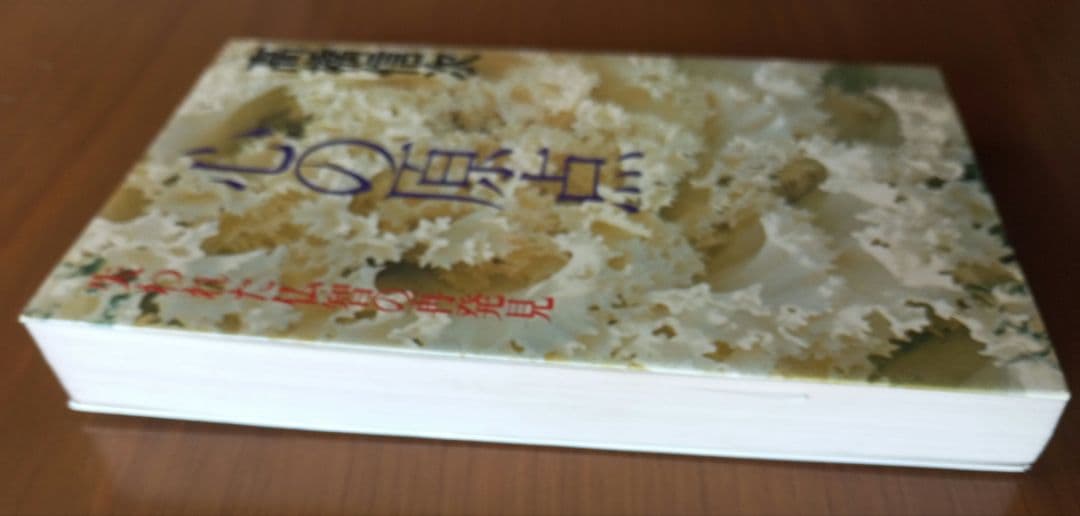 心の原点 失われた仏智の再発見