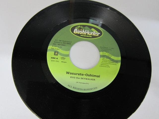 ！RYO the SKYWALKER　忘れておしまい　7インチレコード