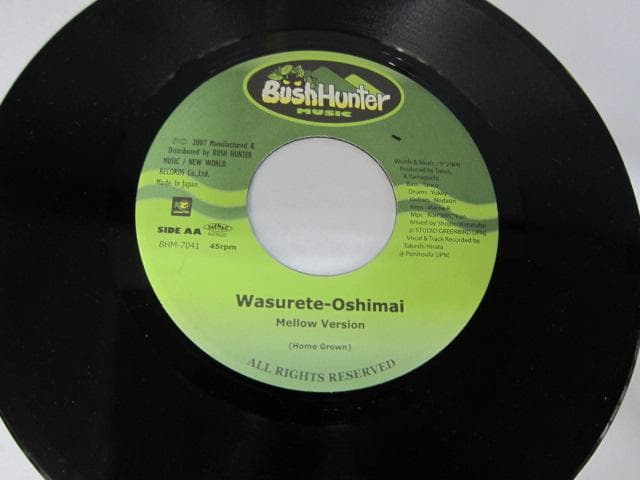 ！RYO the SKYWALKER　忘れておしまい　7インチレコード