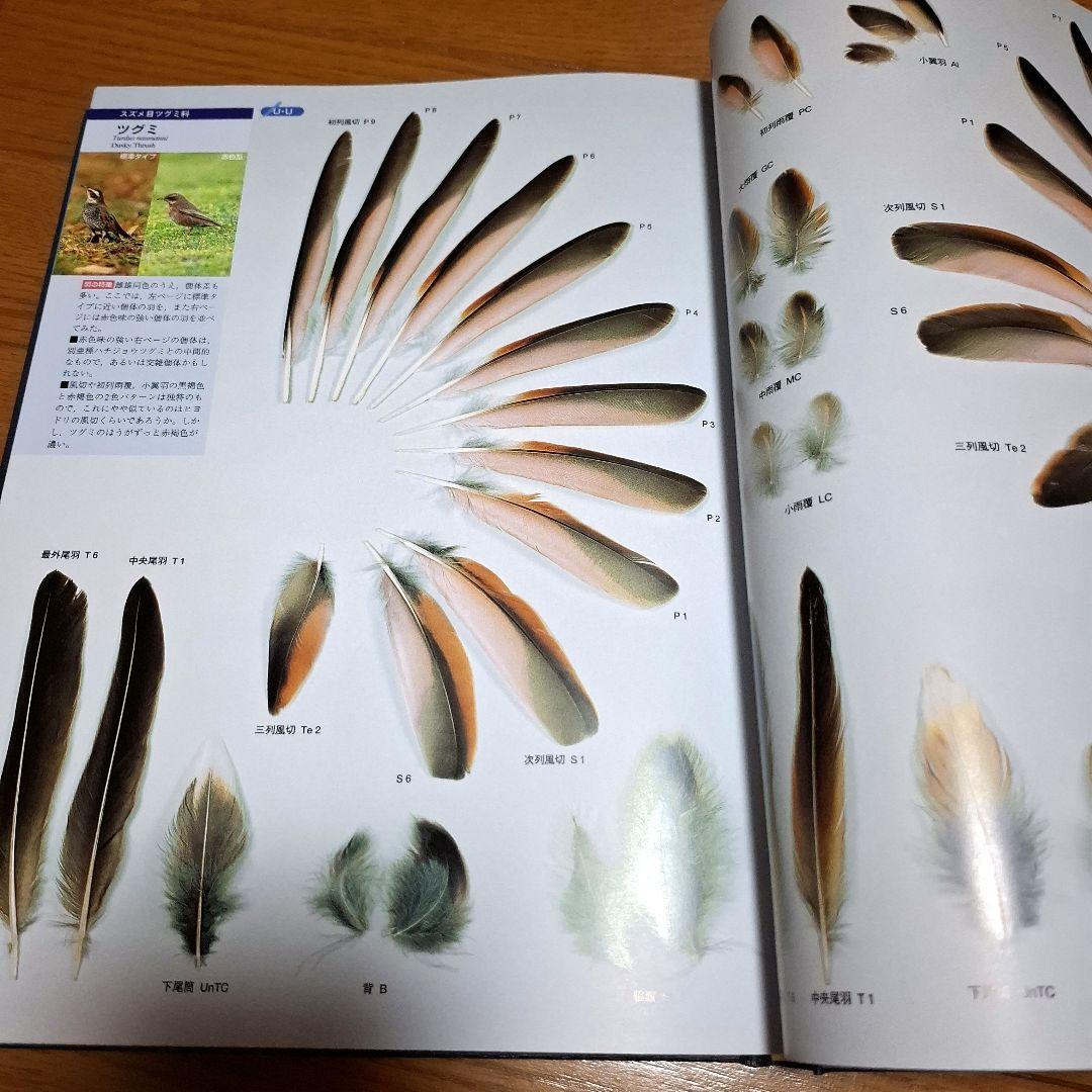 羽 原寸大写真図鑑　高田勝/著 叶内拓哉/著　ポスター付録付き