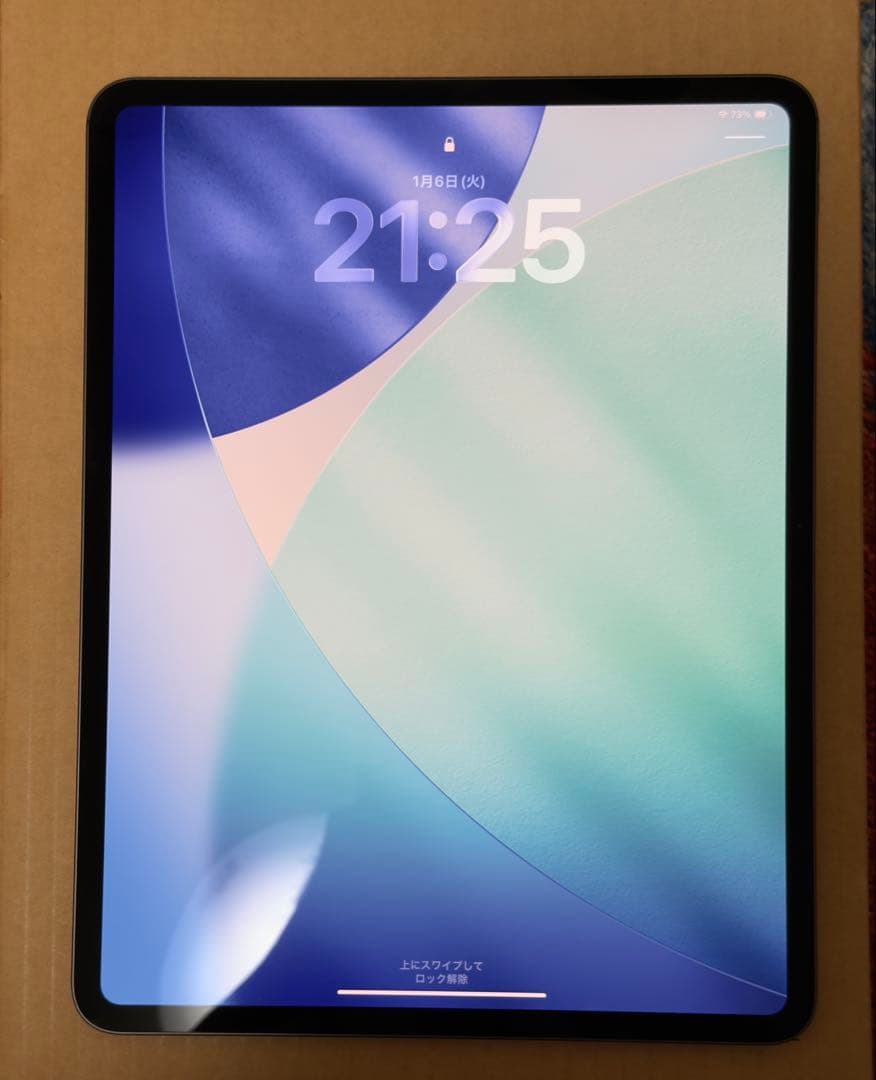 iPad Pro 13インチ M4 Wi-Fi 256GB Apple