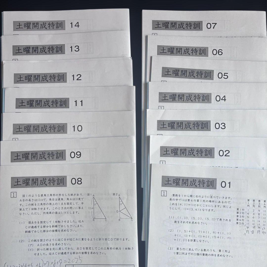 Sapix 6年算数　開成対策プリント