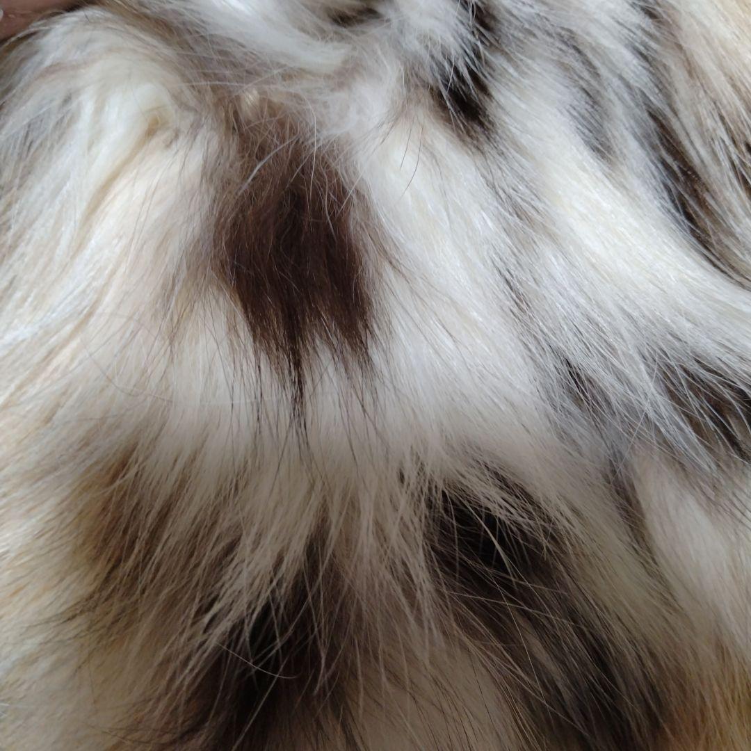 美品✩リンクス✩ファーマフラー✩柔らか✩ふわふわ✩付け襟に✩留め具無し