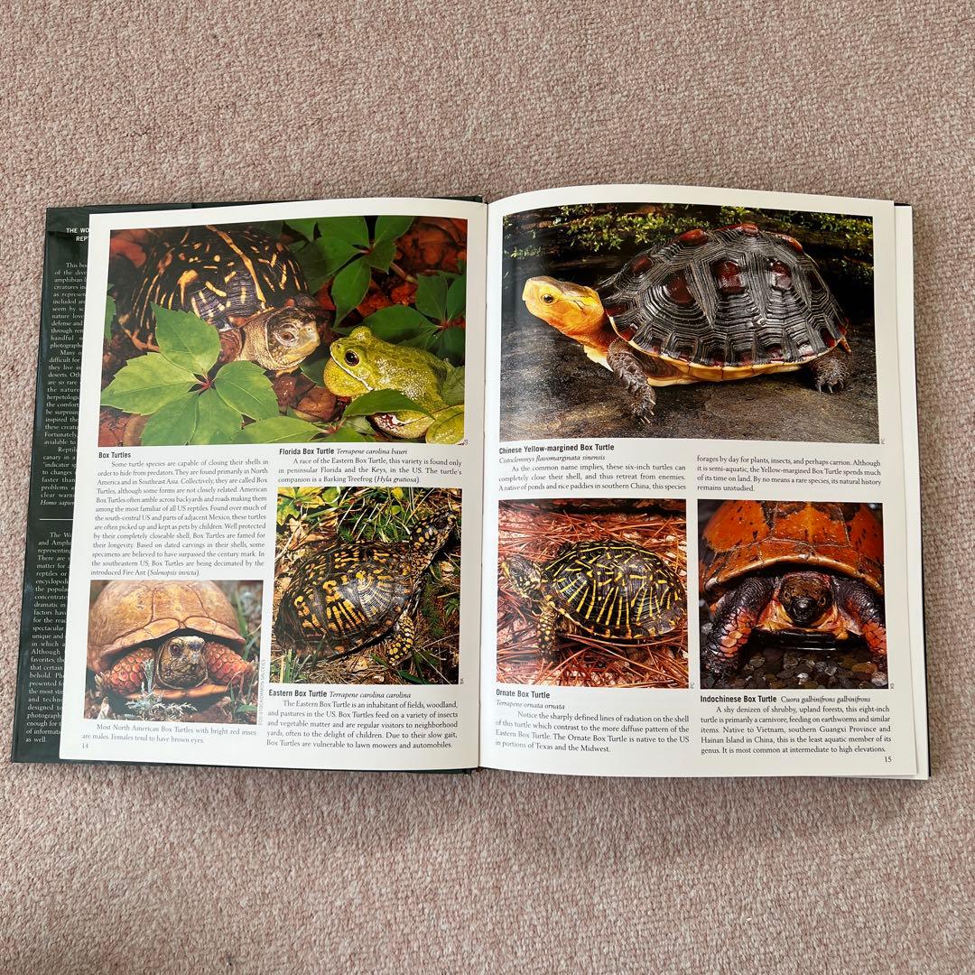 洋書　Reptiles & Amphibians 爬虫類、両生類