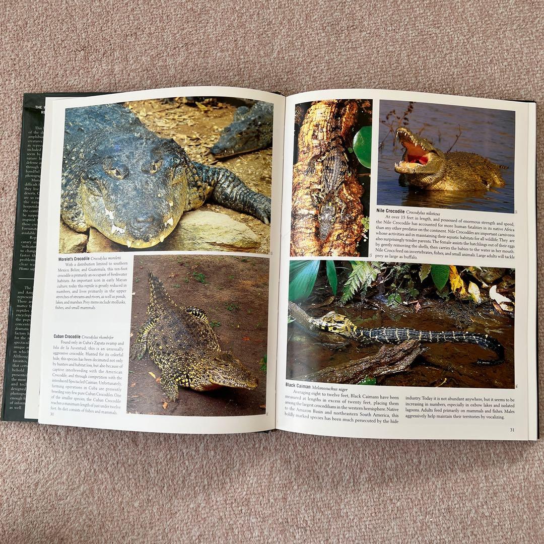 洋書　Reptiles & Amphibians 爬虫類、両生類