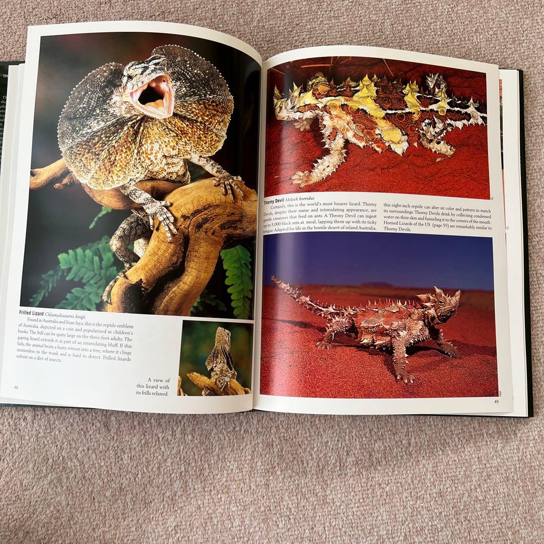 洋書　Reptiles & Amphibians 爬虫類、両生類