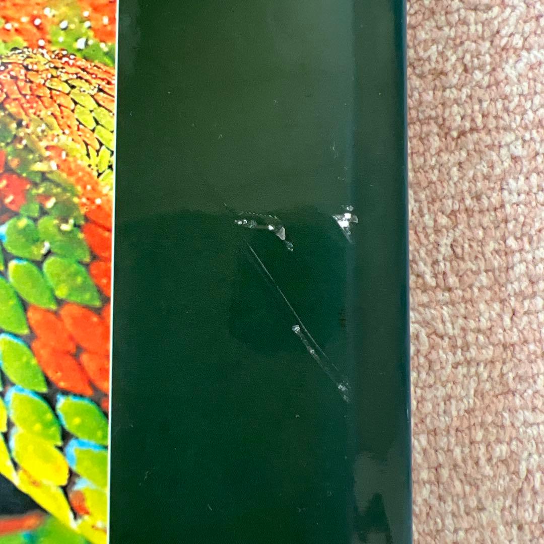 洋書　Reptiles & Amphibians 爬虫類、両生類