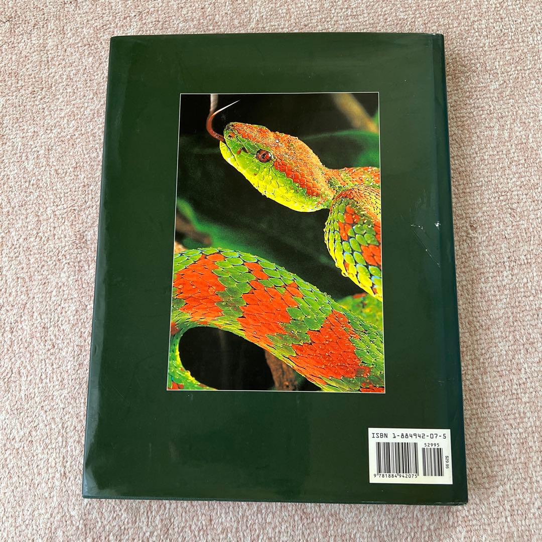 洋書　Reptiles & Amphibians 爬虫類、両生類