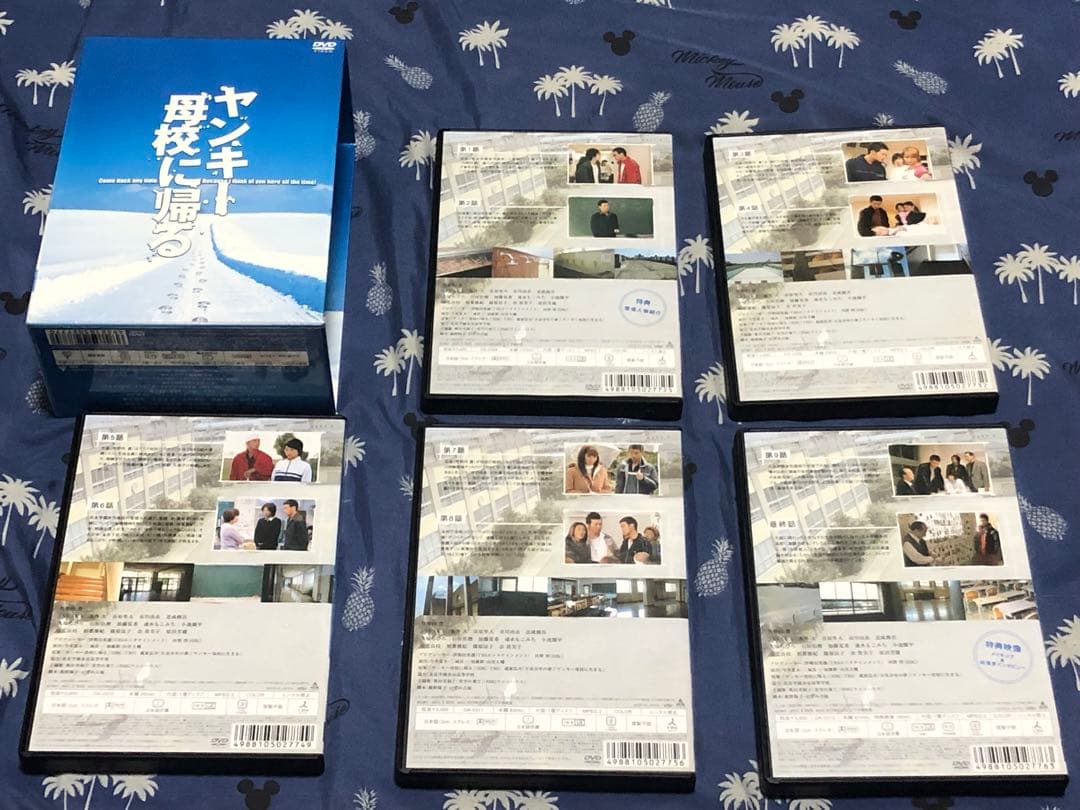 ドラマ　ヤンキー母校に帰る DVD-BOX〈初回限定生産・5枚組〉