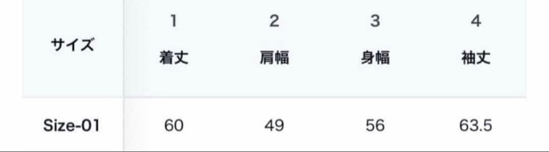DECOROSO コーティングデニムジャケット 1