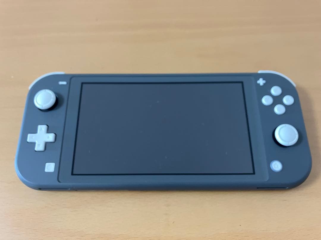 Nintendo Switch Lite グレー +充電器、ケース