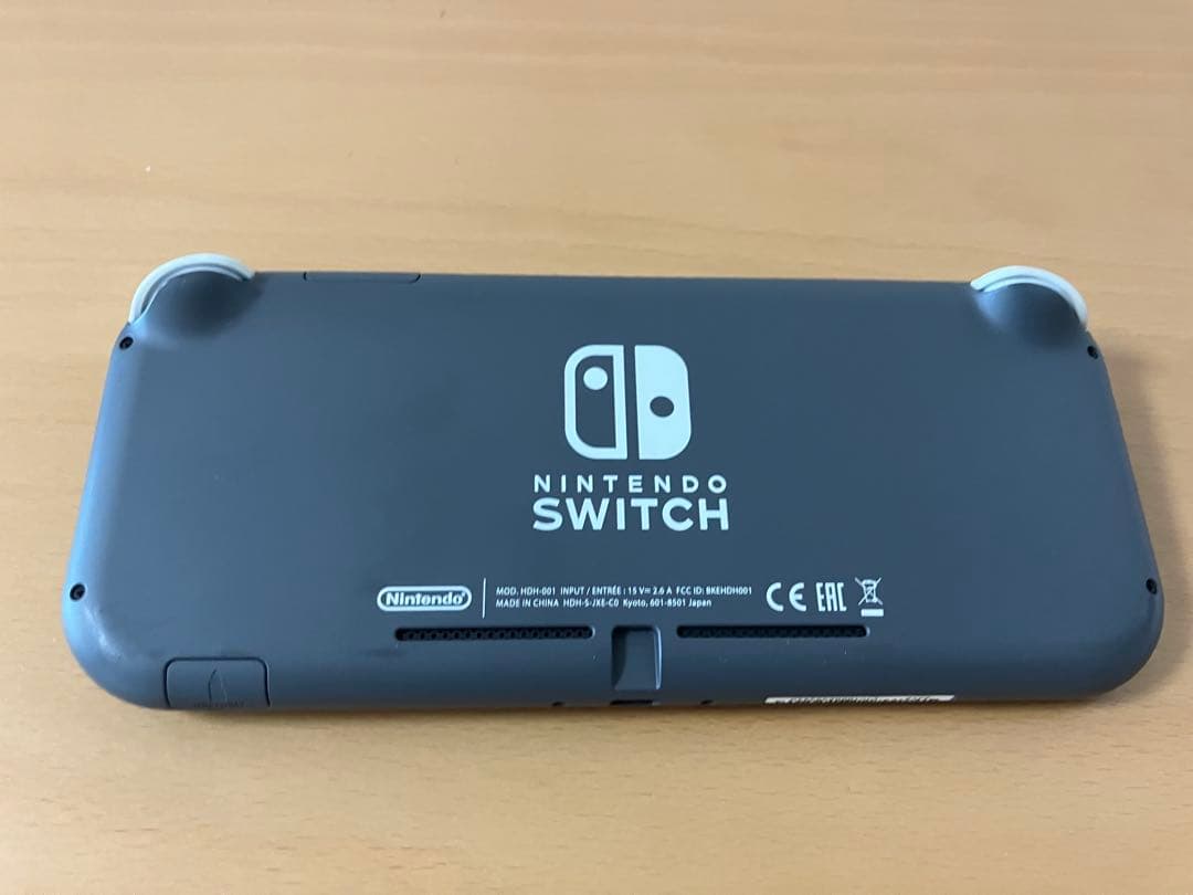 Nintendo Switch Lite グレー +充電器、ケース