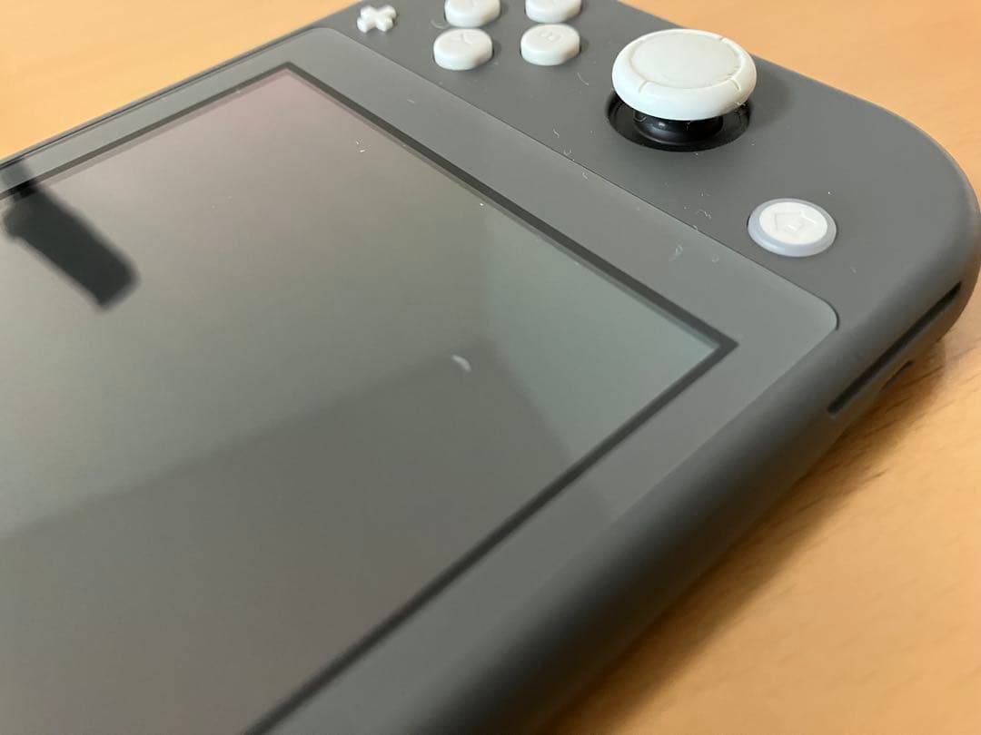 Nintendo Switch Lite グレー +充電器、ケース