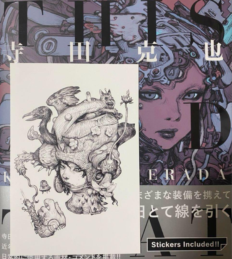 直筆イラスト入りサイン本 寺田克也 画集THIS AND THAT 限定版