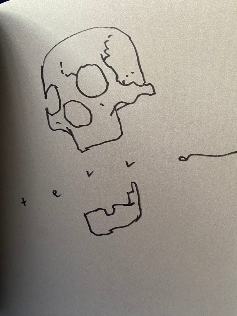 直筆イラスト入りサイン本 寺田克也 画集THIS AND THAT 限定版