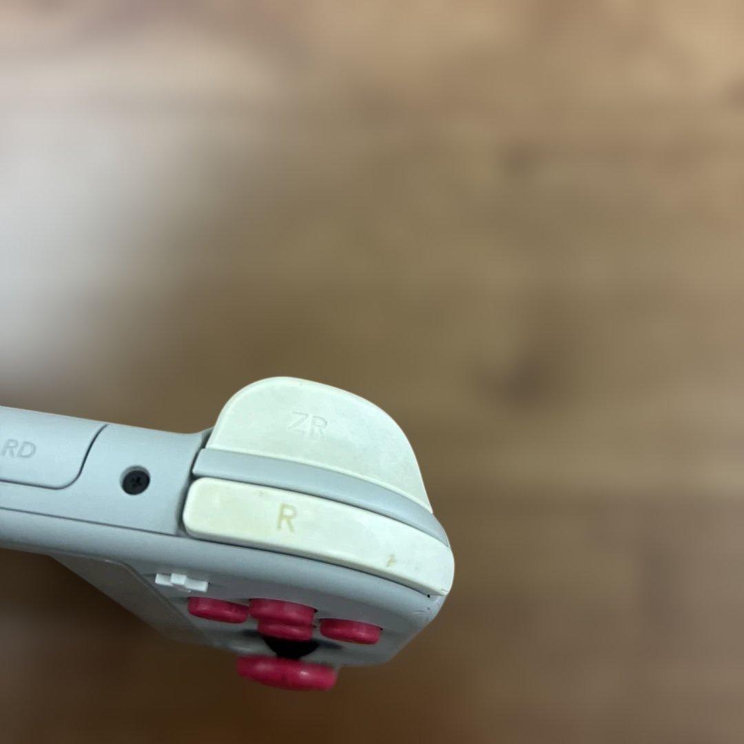 Nintendo Switch Lite ザシアン・ザマゼンダ　本体