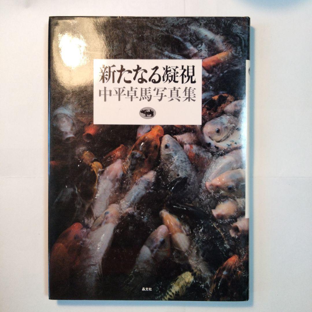 中平卓馬「新たなる凝視」