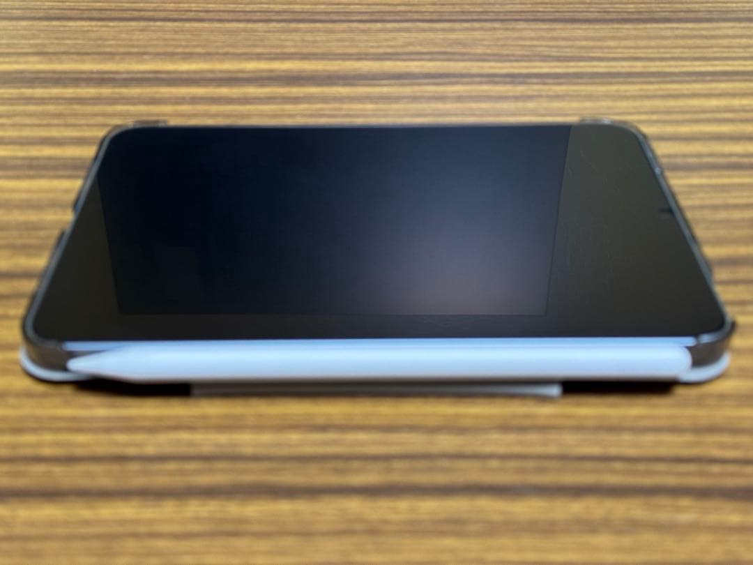 nao ogaiPad mini A17Proブルー 256GB