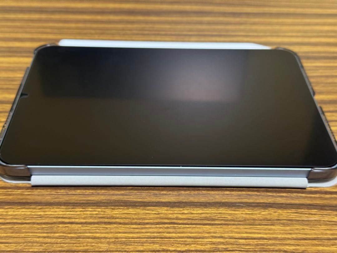 nao ogaiPad mini A17Proブルー 256GB