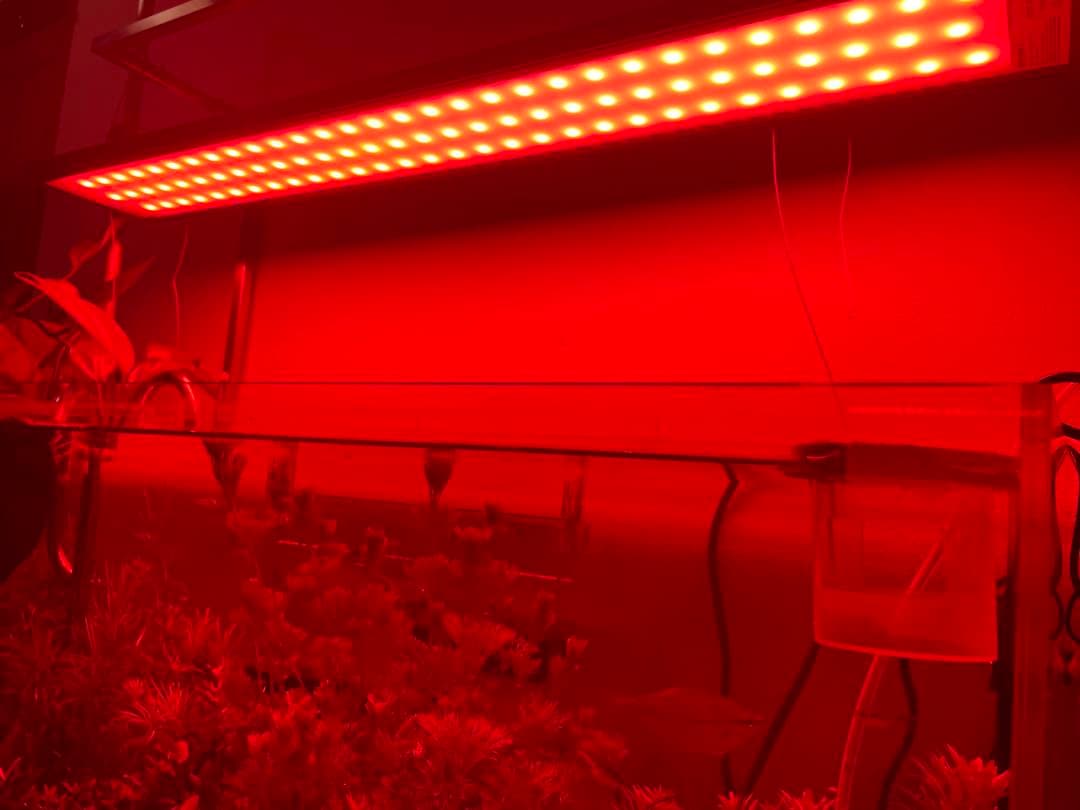 ライト・照明器具 chihiros wrgb2 90